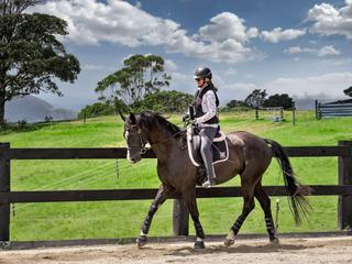 Australia's Best Horse Properties For Sale: Farmbuy.com Buyers' Guide