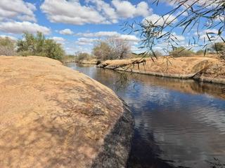 Historic WA Cattle Property For Sale With Registered Carbon Project