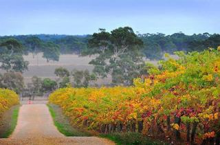 Discover Best Rural Properties For Sale South Australia
