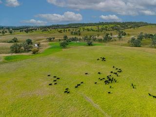 Affordable Grazing Property For Sale In Premier NSW Region