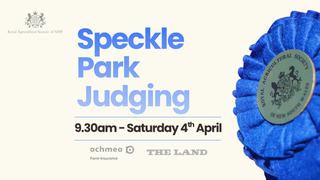 Speckle Park Cattle Judging