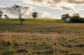 Picturesque And Productive Rural Property For Sale NSW