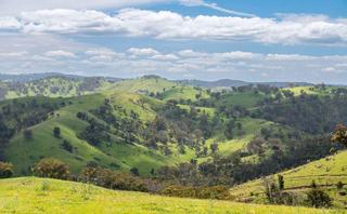 Expansive Rural Property For Sale Northern NSW