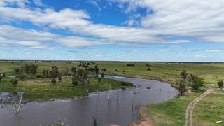 Magnificent Cattle Property For Sale QLD Western Downs