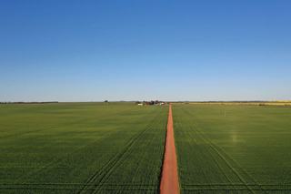 High-Yielding WA Farm For Sale With Mining + Renewable Energy Potential