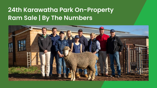 Karawatha Park Notches Full Clearance and $3,004 Average at 24th On-Property Merino Ram Sale Near Kimba