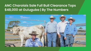 ANC Vinh commands $48,000 to top the 2026 ANC Charolais sale at Guluguba amid a full bull clearance