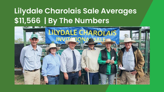 2026 Lilydale Charolais invitational sale sets record with $22,000 top and $11,566 average on 96.8 per cent clearance