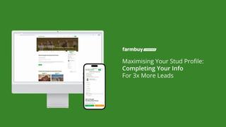 Maximising Your Stud Profile: Completing Your Info for 3x More Leads