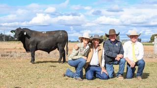 Sandon Glenoch Angus 2026 Sale Delivers Solid $7,811 Average at Chinchilla Ahead of 2027 Herd Dispersal