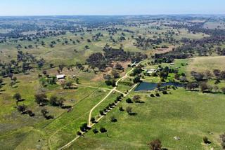 ‘Powerhouse’ Rural Property For Sale Young NSW