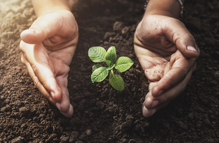Sustainable Farming in Australia