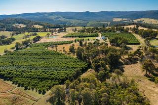 Rural Property For Sale NSW + Chestnut Orchard + Truffière