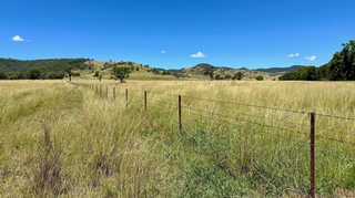 Prime NSW Grazing Country For Sale In High Rainfall Area