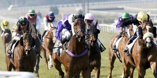 Quinella Of Top Horse Properties For Sale Melbourne Cup