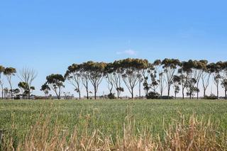High-Quality Rural Properties For Sale Colac Region, Western Victoria