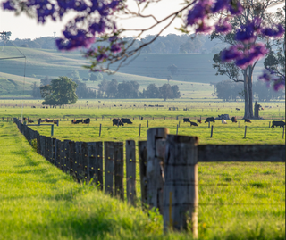 Four Of The Best Rural Properties For Sale Grafton NSW