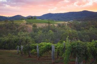 Rural Property For Sale Hunter Valley Record Seven Years of Price Growth