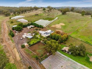Rural Property For Sale Bendigo: ‘Hillcrest’ Cherry Farm