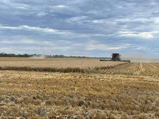 Large-Scale Rural Property For Sale Coonamble District NSW
