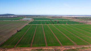 Hidden Secret: Productive Cropping Property For Sale NSW