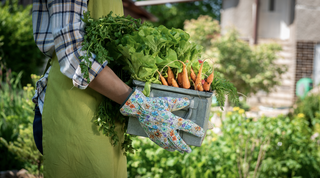 Should You Buy a Farm?