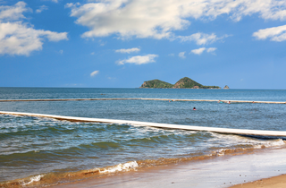 Best Beaches With Stinger Nets in Northern Queensland