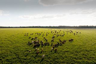 Productive Rural Property For Sale QLD Offers Scale, Location + Water Security