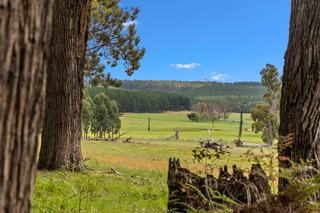Enjoy Seclusion & Natural Beauty At This Property For Sale WA