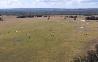 Large-Scale Cattle Property For Sale In Tightly Held QLD Region