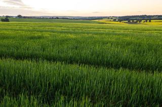 Farmbuy.com - Morgan Sudlow & Associates