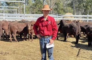 Cameron Bygrave - Eidsvold Livestock and Property