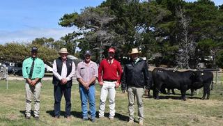 Warren Johnson - Nutrien Livestock Tasmania