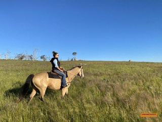 Maddison Kirshner - KIRSHNER MACKAY Property & Livestock