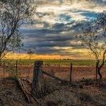 Jason Rice - Elders Real Estate Wycheproof