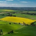 Noel Bennett - Elders Real Estate Wycheproof