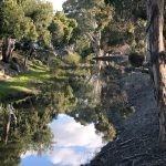 Shane McLoughlan - Elders Real Estate Wycheproof