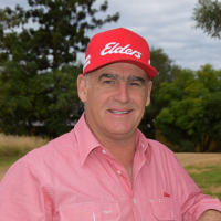Andrew Thomson - Elders Real Estate Beaudesert