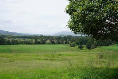 Farm Sold - NSW - Gresford - 2311 - PICTURE PERFECT "WAMBOOL"  (Image 2)