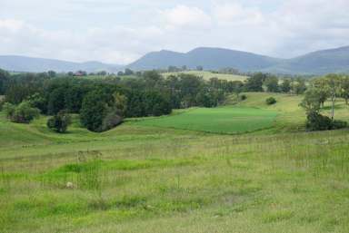 Farm Sold - NSW - Gresford - 2311 - PICTURE PERFECT "WAMBOOL"  (Image 2)