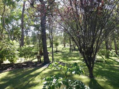Farm Sold - QLD - Stanthorpe - 4380 - Country style timber home with detached Cottage  (Image 2)