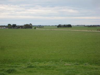 Farm Sold - VIC - Mortlake - 3272 - Ideal Lifestyle Opportunity  (Image 2)