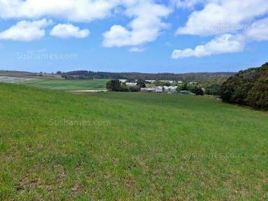 Farm Sold - TAS - Northdown - 7307 - SOLD........Privacy assured - 2.084 hectares  (Image 2)