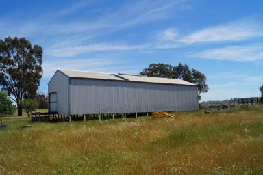 Farm Sold - VIC - Cosgrove - 3631 - Dookie grazing land  (Image 2)