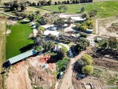 Farm Sold - VIC - Echuca - 3564 - Outstanding irrigation/dairy property  (Image 2)