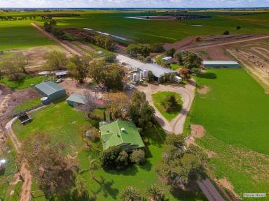 Farm Sold - VIC - Echuca - 3564 - Outstanding irrigation/dairy property  (Image 2)