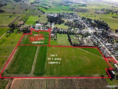 Farm Sold - VIC - Merrigum - 3618 - Developers/lifestyle buyers - great opportunity -  reduced to sell  (Image 2)