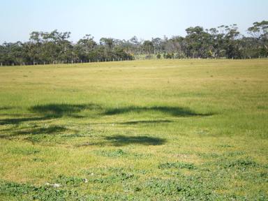 Farm Sold - VIC - Longford - 3851 - ESCAPE TO THE COUNTRY  (Image 2)
