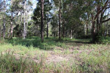 Farm Sold - QLD - Bauple - 4650 - Vendor Wants This Gone  (Image 2)