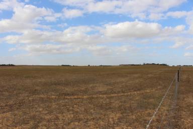 Farm Sold - SA - Sandalwood - 5309 - HARD TO FIND ADD-ON VALUE GRAZING/CROP OR GREAT WEEKENDER  (Image 2)